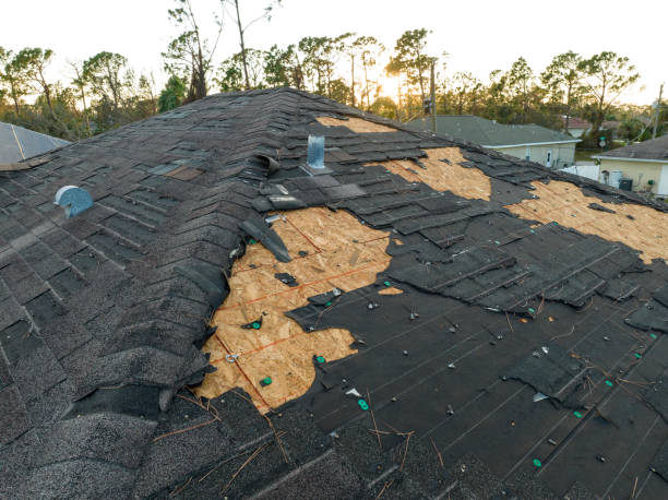 Best Roof Ventilation Installation  in Indian River Estates, FL